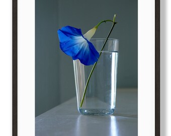 Blue Flower in Glass Photo Print: Home Office Wall Art (Digital Download)