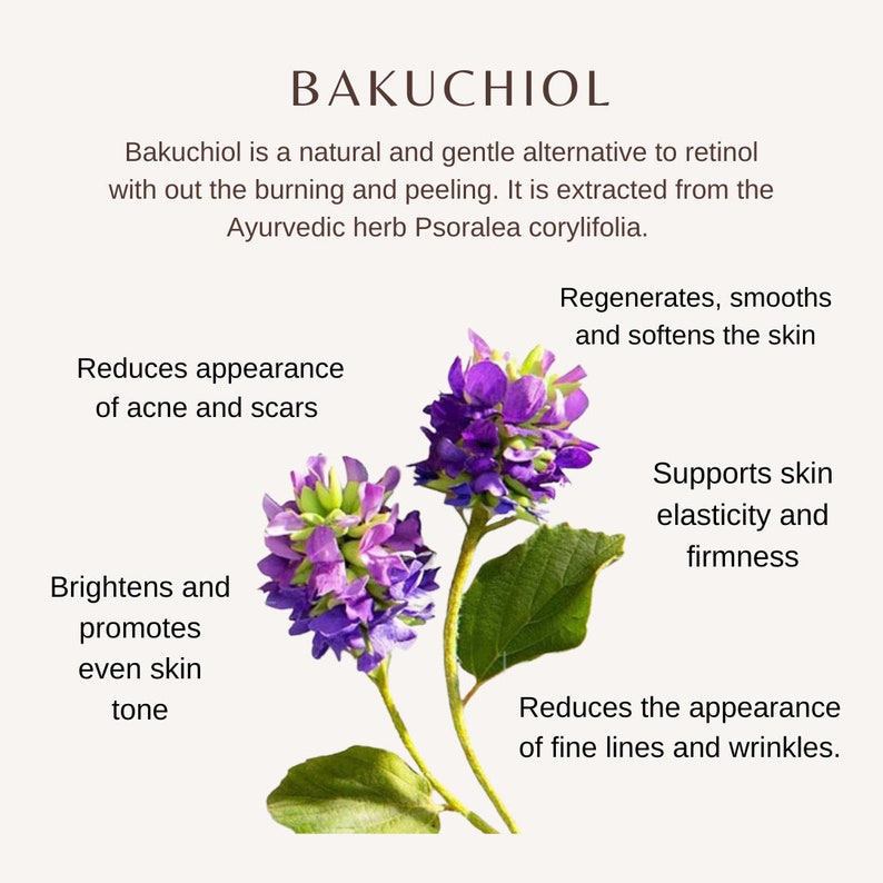 以下が含まれることがあります： 紫色の花と緑の葉のクローズアップ。画像の上部に「BAKUCHIOL」というテキストがあります。下のテキストは、レチノールの自然な代替品であるバクチオールの利点を説明しています。
