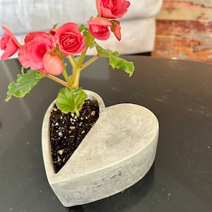Small Batch Heart Shape Planters Succulent Pot with Drainage Hole Concrete 1-Sided Flowerpot Gardening Container Inspired Gifts 40 Valentine