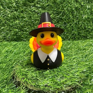3D Turkey Duck