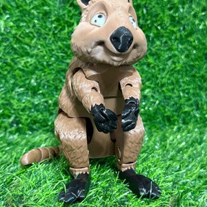 3D Australian Quokka