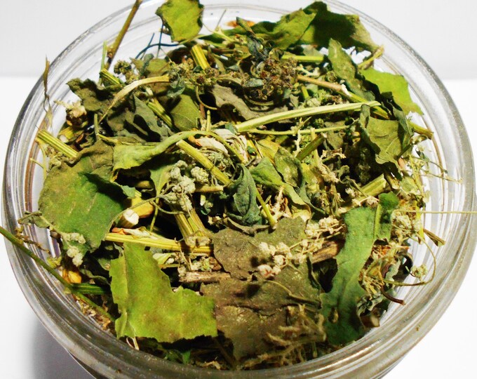 Lambs Quarter Dried Herb Tea, Healthy Organic Medicinal Herbs, Bulk Dried Herbs Harvested With