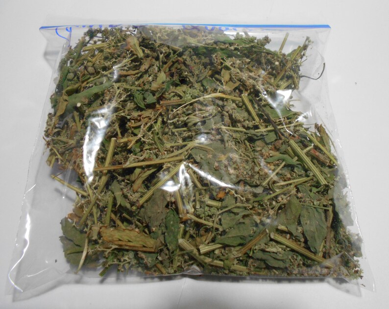Lambs Quarter Dried Herb Tea Healthy Organic Medicinal Herbs Etsy