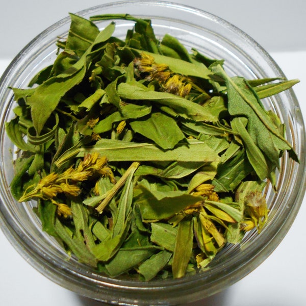 Goldenrod Dried Herb Tea, Organic Medicinal Herbs, Immune Boost Tea, Bulk Herbs, Harvested with LOVE, Dozens of Pots of Super Green Tea