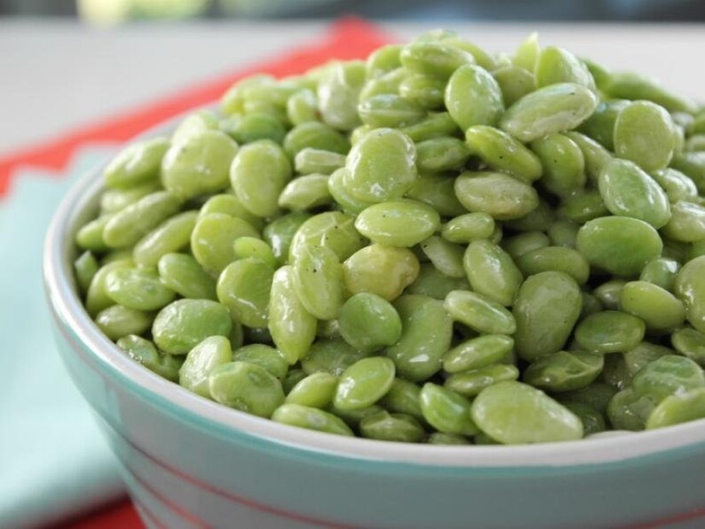 50 Butter Bean Seeds Heirloom Baby Lima Bush Beans Seed Etsy