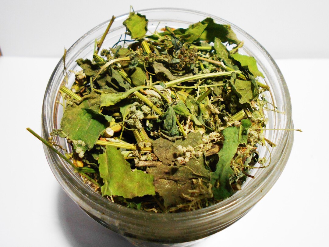 Lambs Quarter Dried Herb Tea, Healthy Organic Medicinal Herbs, Bulk