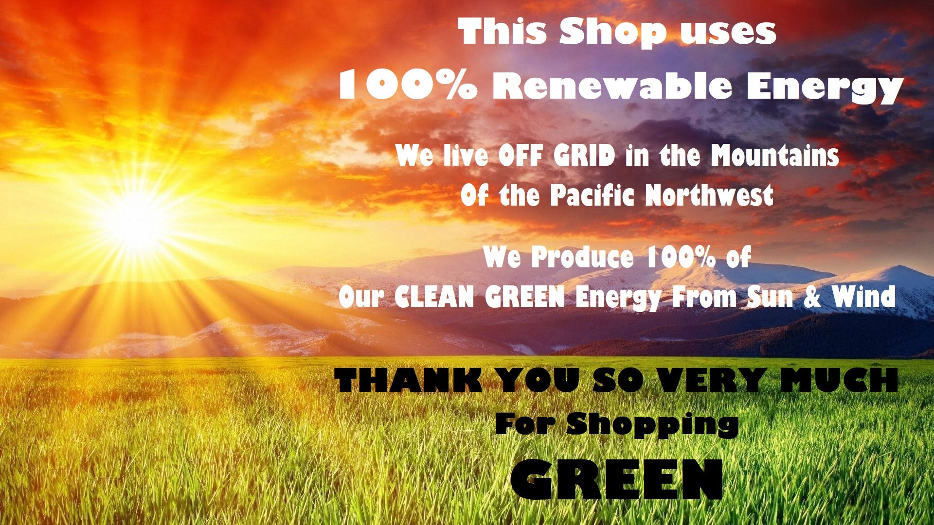 Persian Diamonds Rug PRINTABLE PATTERN Rug Hooking & Cross Etsy