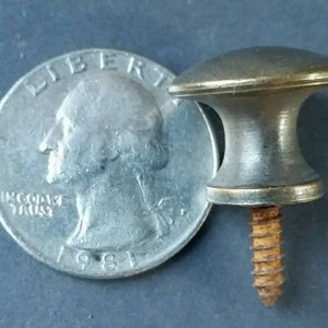 May include: A silver-toned metal knob with a round top and a screw. The knob has a gold-coloured band around the base. The screw is rusty.