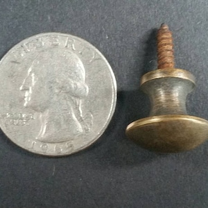 Puede incluir: Un pomo de latón con un tornillo, el pomo es redondo con una parte superior plana y un centro elevado, el tornillo está oxidado.