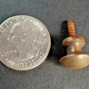 May include: A small, brass, screw-on knob with a rounded top and a slightly larger base. The knob is about the size of a UK 20 pence coin.