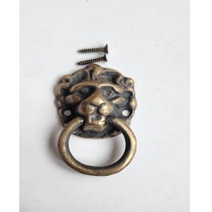May include: A brass lion head door pull with a ring handle. The pull comes with two screws for installation.