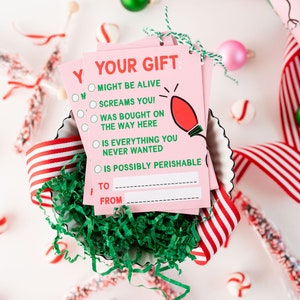 May include: Pink gift tags with a green lightbulb graphic and the text "Your Gift: Might be alive, screams you! Was bought on the way here, is everything you never wanted, is possibly perishable."  The tags have blank spaces for "To" and "From".