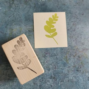 Tampon en caoutchouc eucalyptus pour faire-part de mariage fait main, tampon botanique pour fabrication de cartes