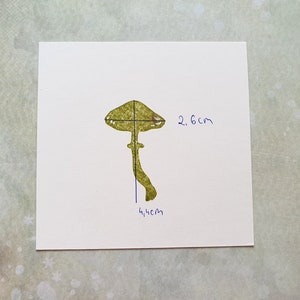 K&ouml;nnte beinhalten: Eine gr&uuml;ne Pilzillustration mit einem 2,6 cm breiten Hut und einem 4,5 cm hohen Stiel.