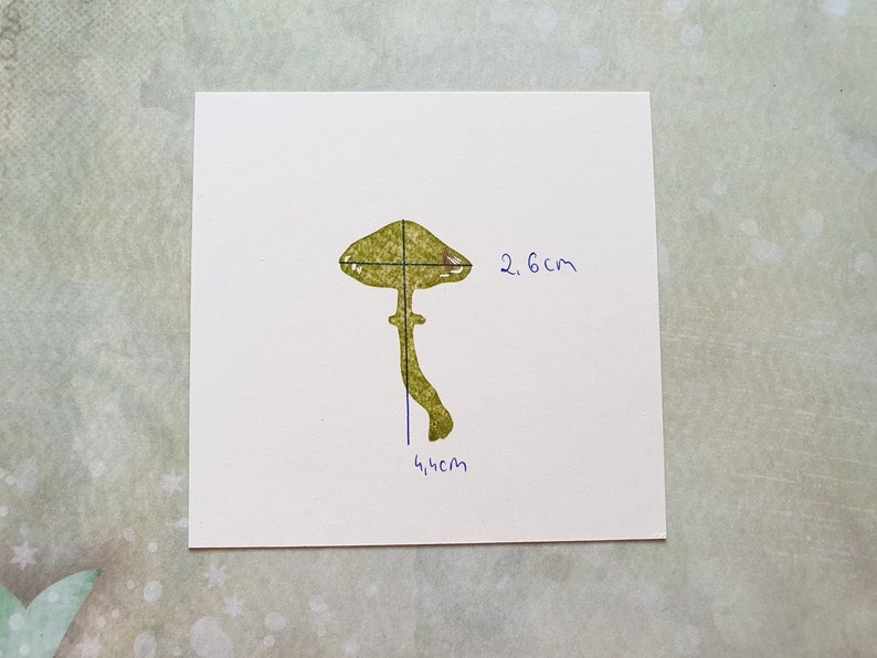 K&ouml;nnte beinhalten: Eine gr&uuml;ne Pilzillustration mit einem 2,6 cm breiten Hut und einem 4,5 cm hohen Stiel.
