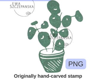 Pilea digital clipart PNG, Chinese money plant illustration, Modern botanical pilea printable