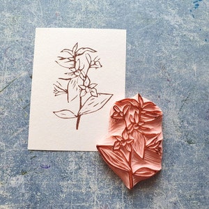 Vanille Bohnen stempel, vanille blumen briefpapier, foodie stempel, küchen pflanzen deko, geschenk für vegane, vegane briefpapier, vanille frucht