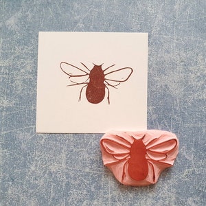 May include: A brown insect stamp and its impression on white paper. The stamp is made of pink rubber and features a detailed insect design. The paper is placed on a textured blue surface.