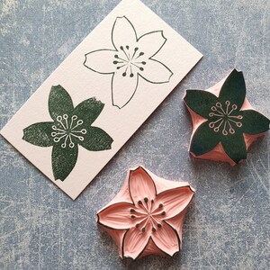 Peut inclure: Trois tampons en forme de fleur de cerisier, un avec une base rose et de l'encre noire, un avec une base blanche et de l'encre noire et un avec une base blanche et de l'encre verte.