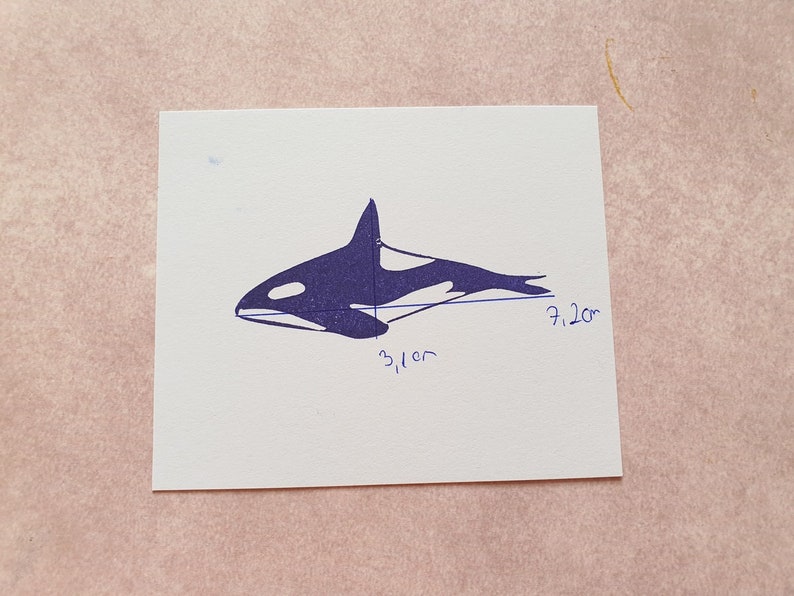 Orca rubber stamp for scrapbooking, delphin stamp for paper craft, ocean life stationery, sea animal, whale ptint, marine blackfish image 8