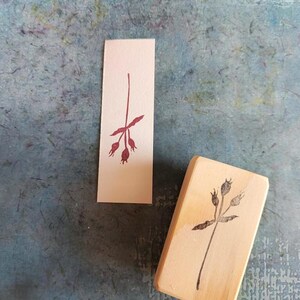 Rosehip rubber stamp, wild rose stamp, berry branch, woodland Christmas, winter stationery, botanical garden, organic tea, vegan gift