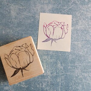 Pfingstrose Stempel für Hochzeit, Shabby Chic Dekoration, wilder Garten Hintergrundstempel, Hochzeitspapeterie, viktorianisch, für Hochzeitspapeterie