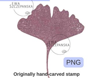 Ginkgo Digital Stamp PNG, Ginkgo leaf Clipart, Ginkgo Illustration for Junk Journal