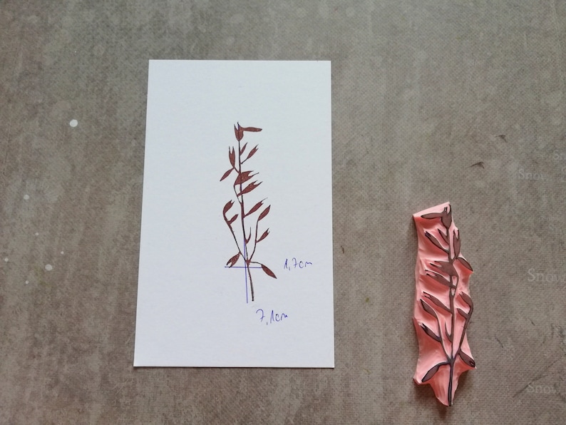 wheat embellishment grain stamp cereal twig grass plant Oat rubber stamp for botanical journal gift for nature lovers meadow flower