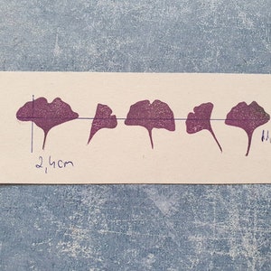 May include: Five purple ginkgo leaf prints on a white card. The prints are arranged in a row and are approximately 2.4 inches wide. The card is labeled "M.3".