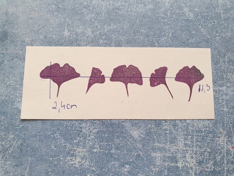 May include: Five purple ginkgo leaf prints on a white card. The prints are arranged in a row and are approximately 2.4 inches wide. The card is labeled "M.3".