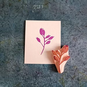 Timbro con pianta di rosa canina per diario botanico, timbro con rosa selvatica per stampa di aromaterapia, bacche invernali, ramo di Natale, design di imballaggio biologico