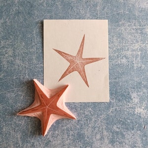 May include: A carved starfish stamp and its print on a white rectangle. The stamp is a layered, three-dimensional design in a coral color. The print shows a single starfish in the same color. The background is a textured, faded blue.