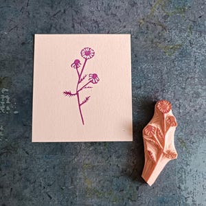 Tampon en caoutchouc fleur de camomille, papeterie marguerite, motif tournesol vintage, bullet journal, éphémères de jardin sauvage, herbe aphotecary, plante médicinale