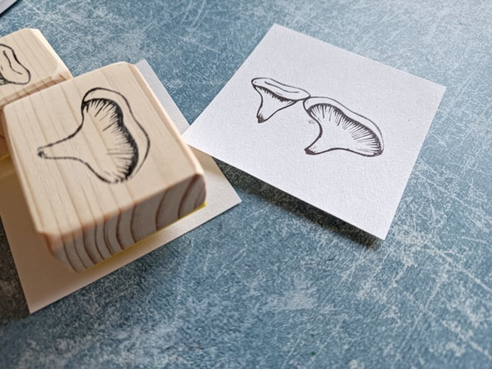 Mushroom Rubber Stamp Set for Botanical Diary Wild Forest Etsy