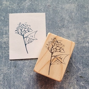 Jasmijnbloem rubberen stempel, jasmijn boeket bruiloft, kruiden briefpapier, kruidendagboek, apothekersstempel,