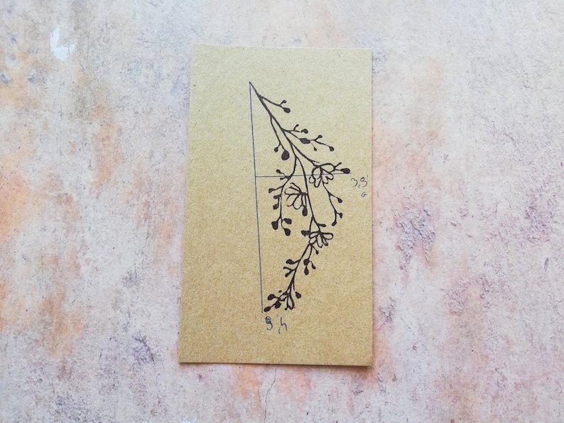 May include: A black and white line drawing of a branch with leaves and berries on a brown cardstock background. The cardstock is marked with measurements of 3.5 inches and 5 inches.