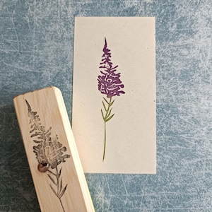 Timbre en caoutchouc d'herbe de saule, timbre d'herbier pour le journal d'apothicaire, éphémères de brindille botanique, fleur de lilly, cadeau pour l'artisan, journal de balle