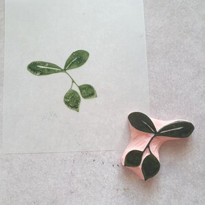 Tampon en caoutchouc de baies pour bullet journal, tampon de branche de fruit pour la fabrication de cartes, décor de carnet de jardin, illustration botanique, tissu de printemps