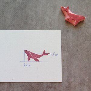 May include: A red rubber stamp of a whale with measurements of 2 inches by 4.6 inches.