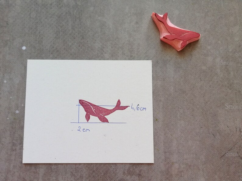 May include: A red rubber stamp of a whale with measurements of 2 inches by 4.6 inches.