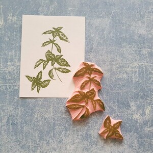 Ensemble de tampons en caoutchouc basilic pour tenir un journal sur la nature, tampons d'herbes pour scrapbooking, objets éphémères de jardin, projet de salle de classe, coin école à la maison