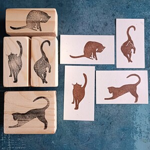 Set di timbri per gatti, francobolli Kitty per la creazione di cartoline, regalo per gli appassionati di gatti
