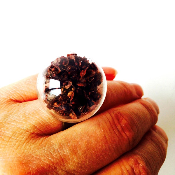 Bague Balade en forêt globe de verre graines de plante séchée anneau bronze par All Things Natural
