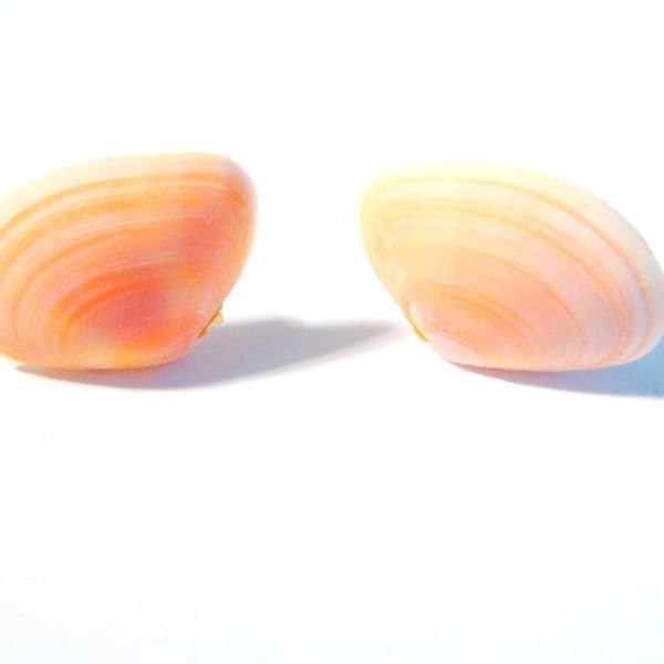 Earrings L HERMITAGE Pastel pink shell stud earrings made with shell from La Réunion island by All Things Natural