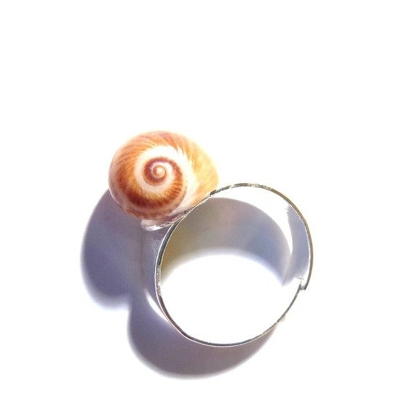 Bague RIVAGES en coquillage naturel couleur brun foncé tourbillon délicat anneau argenté par All Things Natural