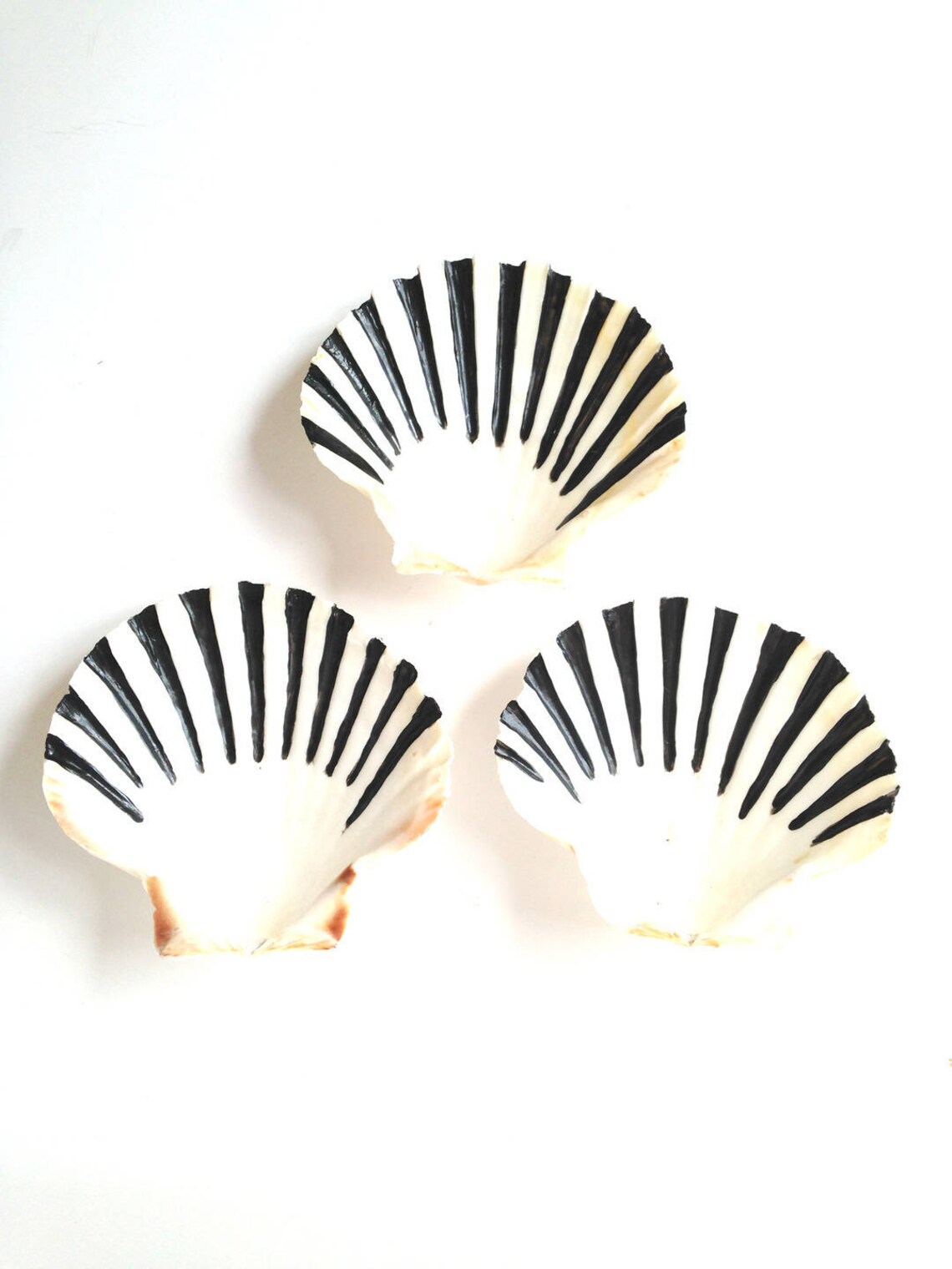 Jewel Trays 3 Natural Hand Painted Shells Black and White Etsy
