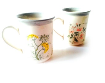 Tasses Duo de tasses Biltons Angleterre poterie anglaise TISANE AUX PLANTES tasse cynorrhodon Rosehip et tasse Fenouil Fennel vintage