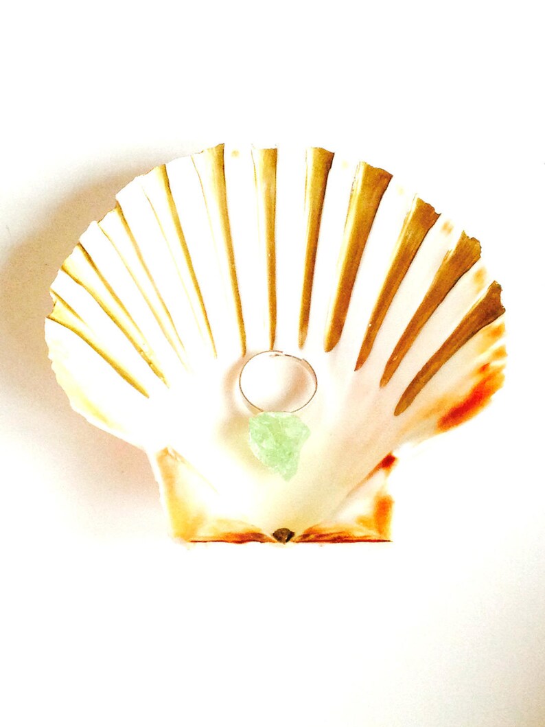 Shell Jewelry dish ring dish natural shell hand painted gold table decor Christmas decor coastal table decor weddingby All Things Natural zdjęcie 1