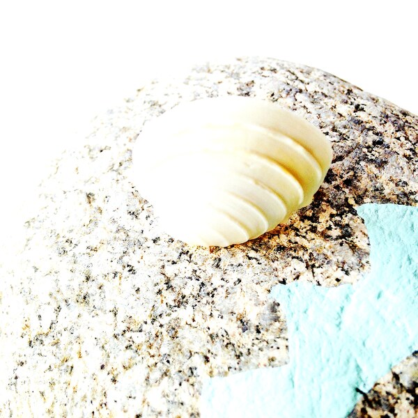 Bague WAVES coquillage blanc naturel avec relief naturel bague argentée ajustable par All Things Natural