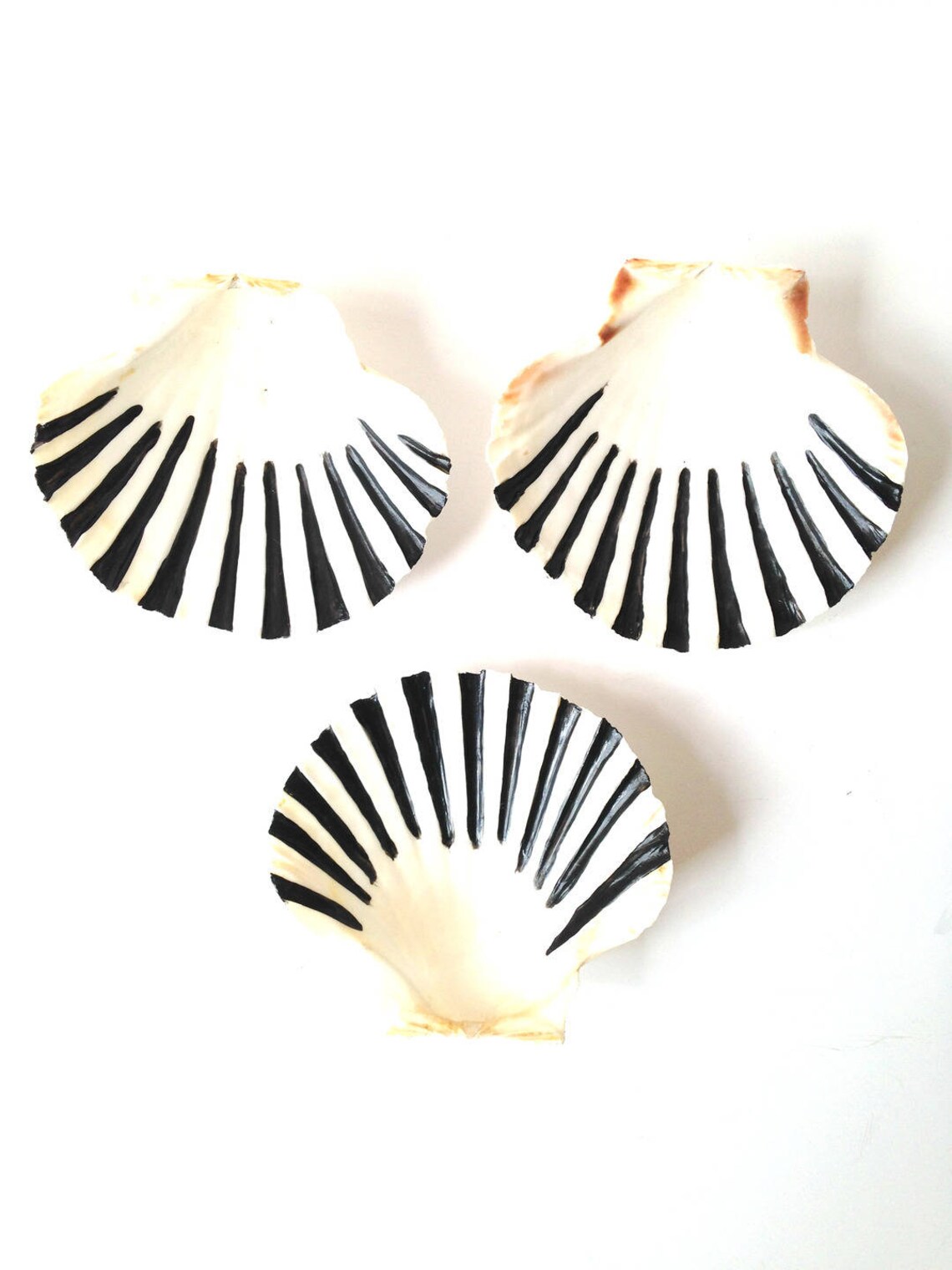 Jewel Trays 3 Natural Hand Painted Shells Black and White Etsy